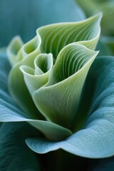 Intricate, delicate, light-green leaves, with teal-toned, overlapping textures, create a captivating, natural design.