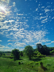 A Sunny Day on the Way to Oshawa.