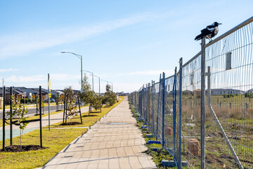 Fototapeta premium Newly developed suburban street in Wyndham Vale, Melbourne, Australia, with temporary construction fencing along a vacant block of land, young street trees, and modern houses in the background.