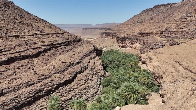 Aerial drone view of lush green oasis hidden in rocky desert canyon in Mauritania