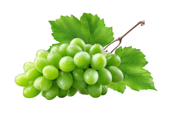 Green Grapes with Dewy Leaves on Transparent Background - Powered by Adobe
