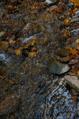 Mountain waterfall close-up with clear flowing water over rocks and autumn leaves, peaceful nature landscape in fall season