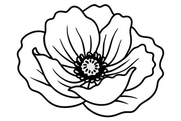 vector illustration of a poppy flower
