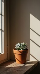 Succulent in Terracotta Pot, A healthy, vibrant green succulent planted in a classic terracotta pot on a windowsill., Simple Plant Joy