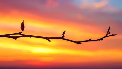 Silhouette Branch Against Vibrant Sunset Sky