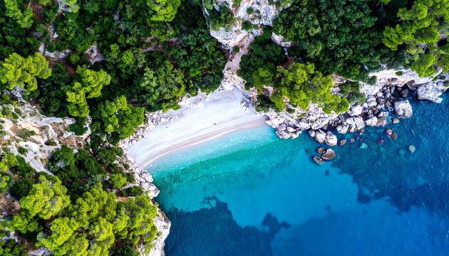 High-angle view of a secluded beach cove