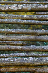 Old Wooden Fence with Moss and Lichen in Forest. Rustic Natural Texture