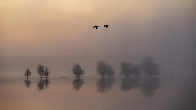 Morgens bei Nebelstimmung im Tister Bauernmoor
