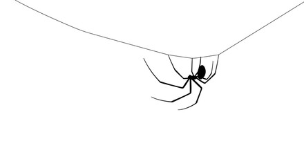 A black spider hangs from a web in a minimalist stark white scene