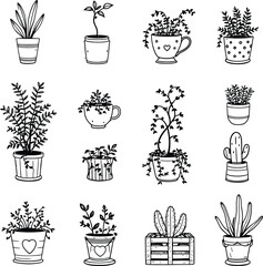 Hand drawn plants in pots vector illustration botanical line art doodle home decor indoor gardening design 100