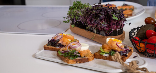 Freshly prepared healthy snacks featuring whole grain bread topped with salmon, vegetables, and microgreens, showcasing vibrant colors and wellness-focused nutrition with copy space