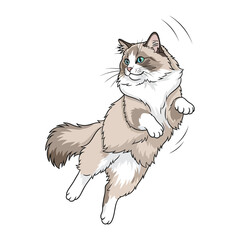 Playful Cat: A delightful illustration captures a fluffy ragdoll cat mid-air, exuding joy and energy.