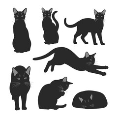 Elegant black cats poses: A captivating collection of elegant black cats poses, in various poses. A perfect illustration