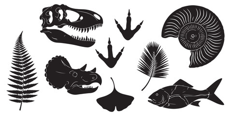 A collection of vector silhouettes of various prehistoric fossils and natural history elements. © Meizan 