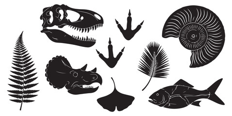 A collection of vector silhouettes of various prehistoric fossils and natural history elements. © Meizan 