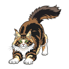 Playful Maine Coon: A vibrant illustration of a majestic Maine Coon cat, poised in a playful stance, showcasing its luxurious fur and captivating eyes.