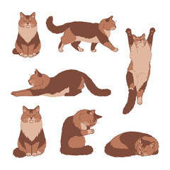 Playful Cat Collection: This illustration showcases the playful expressions of a adorable feline friend, designed with a touch of graphic artistry.