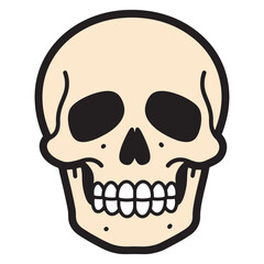 Stylized human skull illustration with detailed teeth and eye sockets, perfect for anatomical or artistic projects