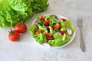 healthy Salad with Tomatoes, Lettuce and red Onion on a White Plate