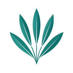 green leaves isolated on white background