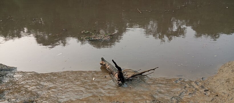 Wood shimmers under a torrent of water