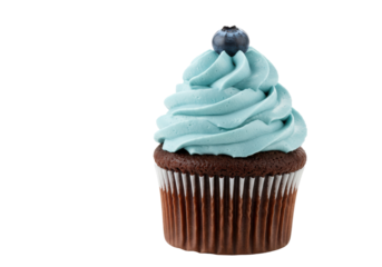 Isolated cupcake dessert with light blue icing swirl, blueberry garnish, for sale and catering