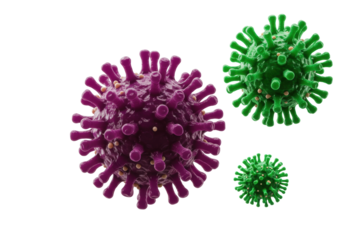 Isolated Coronavirus SARS-CoV-2 virus infectious disease in 3D render medical artwork
