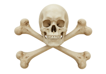 Isolated skull and crossbones symbol a pirate or Halloween icon and decoration art image
