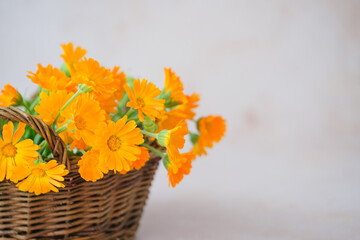 Vibrant orange flowers fill a rustic woven basket, bringing warmth and cheer to the room. Alternative medicine, organic cosmetics, self-care routine and well-being concept.