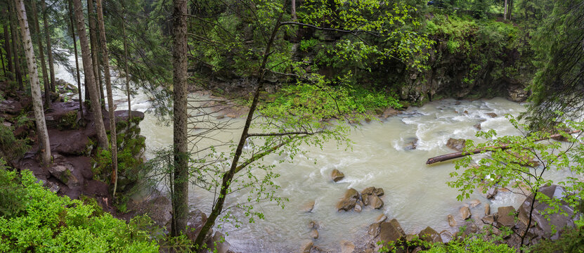 Mountain river with forest on steep banks in rainy day