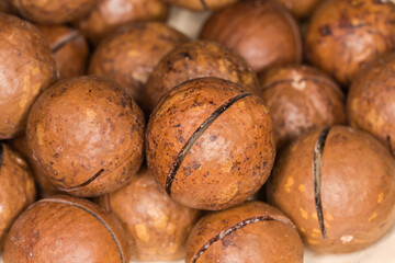 Heap of whole macadamia nuts with sawn shells close-up