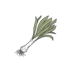 Hand drawn illustration of a single leek vegetable on a white background