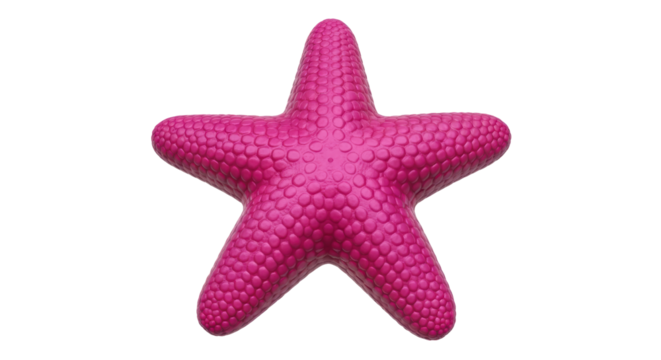 Isolated five-armed pink starfish against a seamless backdrop, marine invertebrate fauna specimen