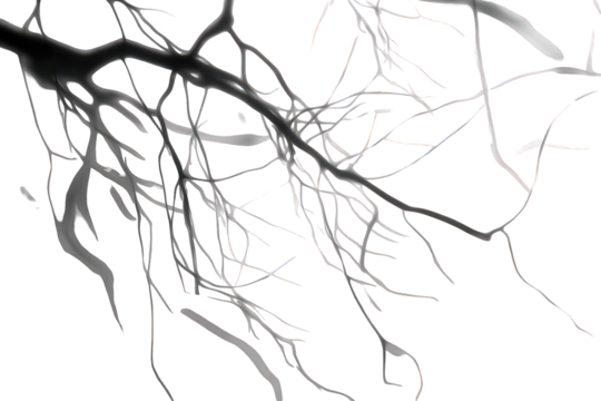 Abstract Gray Branches