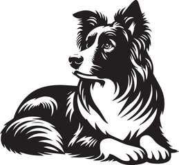 Border Collie Dog Vector Illustration, Black and White Silhouette, Pet Animal Design