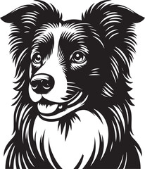 Border Collie Dog Vector Illustration, Black and White Silhouette, Pet Animal Design