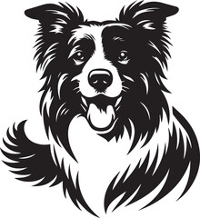 Border Collie Dog Vector Illustration, Black and White Silhouette, Pet Animal Design