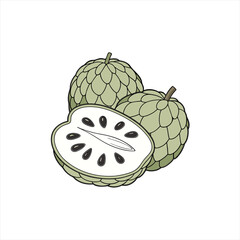 Illustration of two whole custard apples and one cut in half