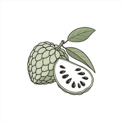 Illustration of a custard apple fruit with a slice showing seeds and leaves