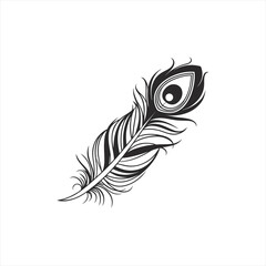 Obraz premium Elegant black and white peacock feather illustration