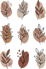 Illustration of Botanical Leafy Elements with Neutral Earthy Tones and Dots in White Background
