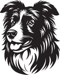 Border Collie Dog Vector Illustration, Black and White Silhouette, Pet Animal Design