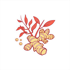 Stylized illustration of fresh ginger root with red leaves and small circles