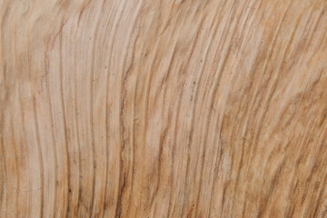 Abstract pattern and texture background of brown dry banana leaves. For graphic design, 3D rendering and banners