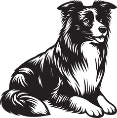 Border Collie Dog Vector Illustration, Black and White Silhouette, Pet Animal Design