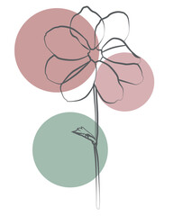 Modern botanical line drawing with pastel circle accents, minimal floral abstract art