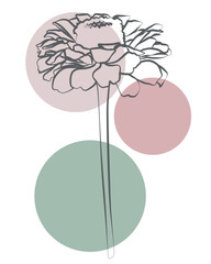 Minimalist flower outline with abstract round shapes, stylish botanical illustration