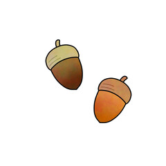 Two Acorns Illustration for Autumn Season Clip Studio Paint Hand-Drawn Style
