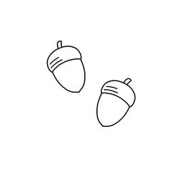 Two Acorns Line Art Outline Hand-Drawn Illustration Clip Studio Paint