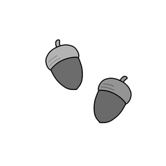 Two Acorns Monochrome Illustration Clip Studio Paint Hand-Drawn Style